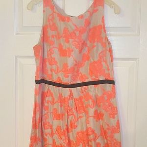 Loft Knee Length Light Cream and Pink Dress